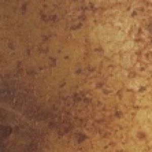 Meet your Posher, Brendan